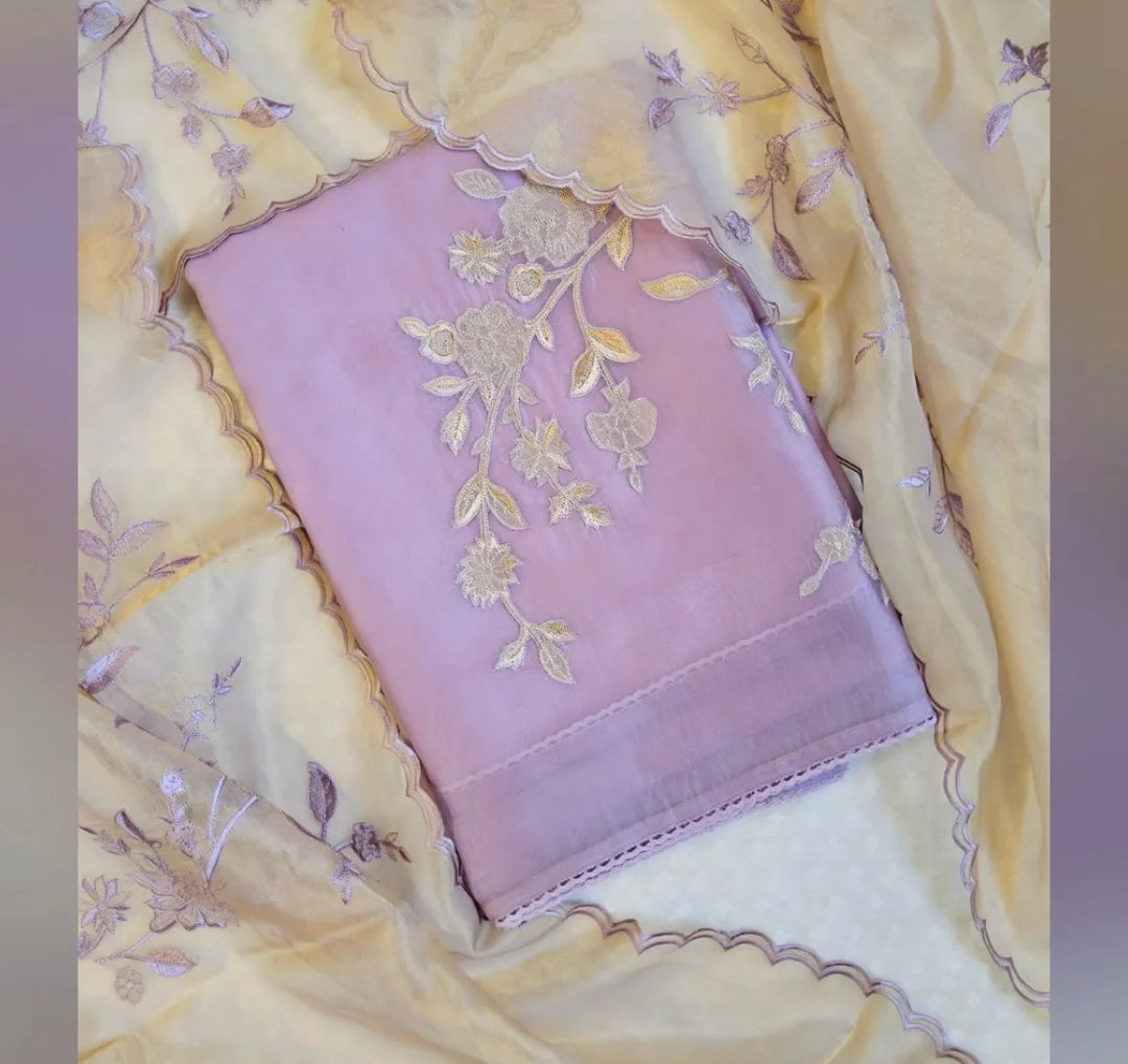 Organza suit with Applique work